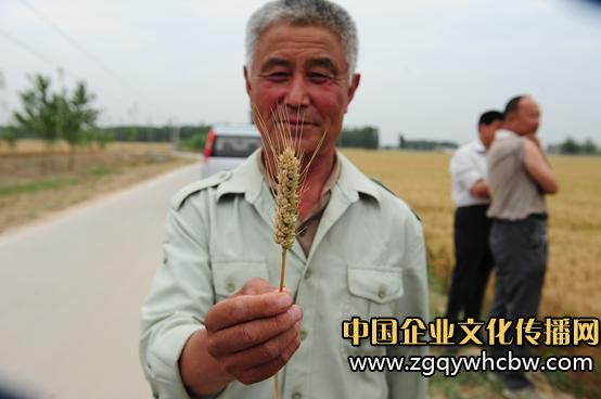{(ln)컯Zya(chn)a(chn)L(fng).jpg
