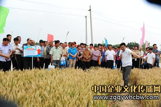 {(ln)컯Zya(chn)a(chn)L(fng)2.JPG