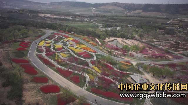 大連英歌石植物園:中國最美郁金香展4.JPG
